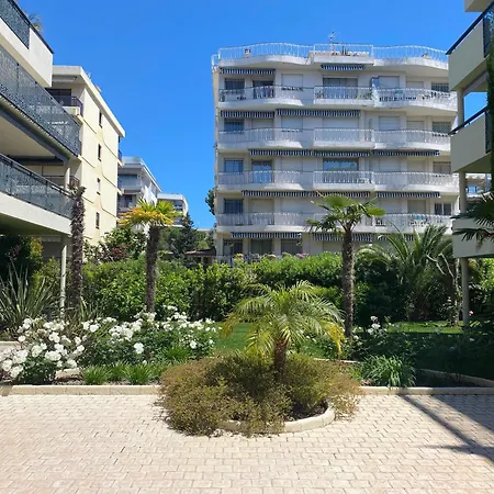 Palm Proche Croisette *